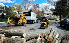 Best Lawn Maintenance Plans  in Carnegie, OK