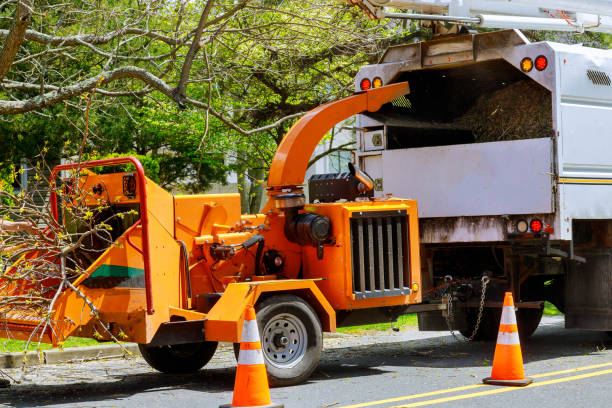 Best Arborist Consultation Services  in Carnegie, OK