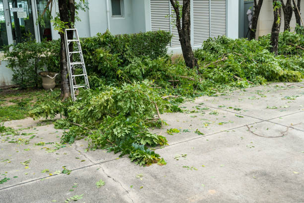 Best Hedge Trimming  in Carnegie, OK